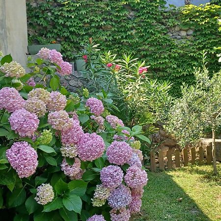 Les Glycines Bed & Breakfast Le Vigan  Dış mekan fotoğraf
